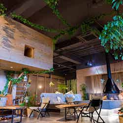 おふろcafe ハレニワの湯/画像提供:温泉道場