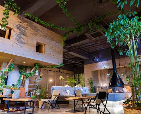 埼玉「おふろcafe ハレニワの湯」でリフレッシュ!地元野菜たっぷりごはん味わえる農園カフェも