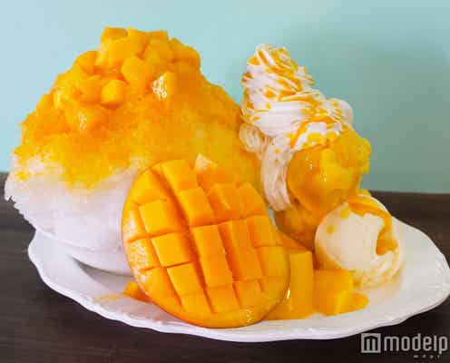 総重量1kg!沖縄の巨大マンゴースイーツがパワーアップ