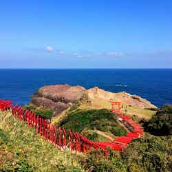 山口県長門市の元乃隅神社/画像提供:山口県長門市