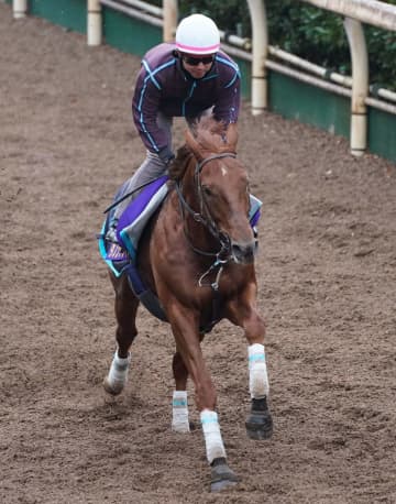 【有馬記念】ダノンデサイルが軽快な動き 安田師「万全な状態でゲートを迎えられるように。出走16頭に熱い声援を」