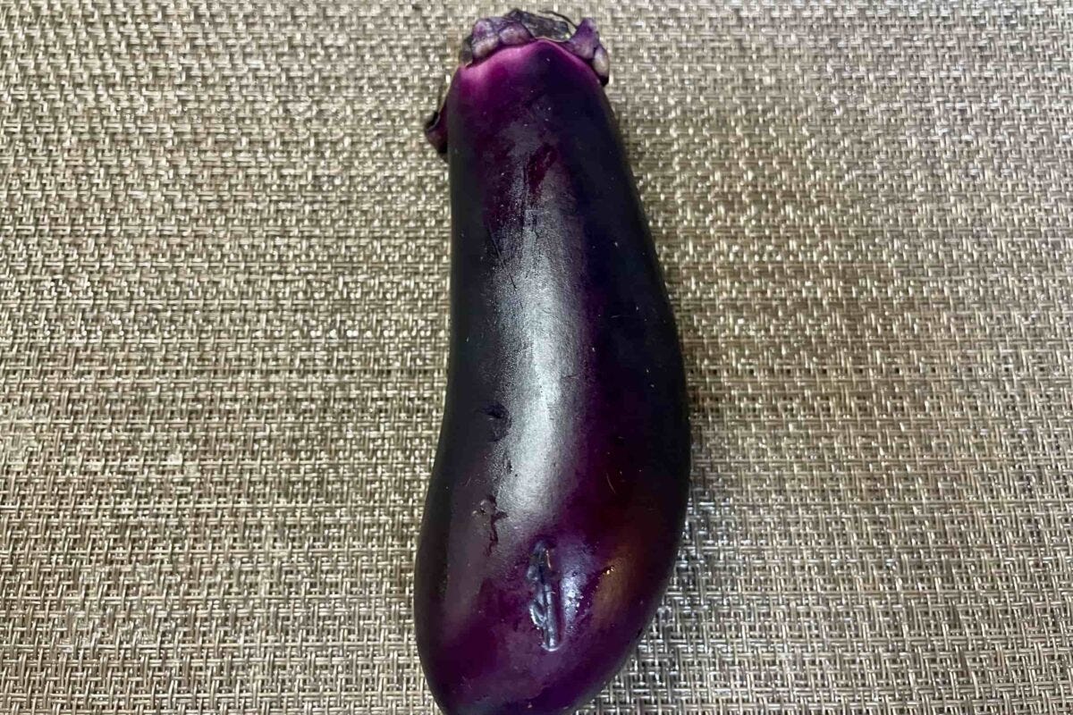 なすの蒲焼き