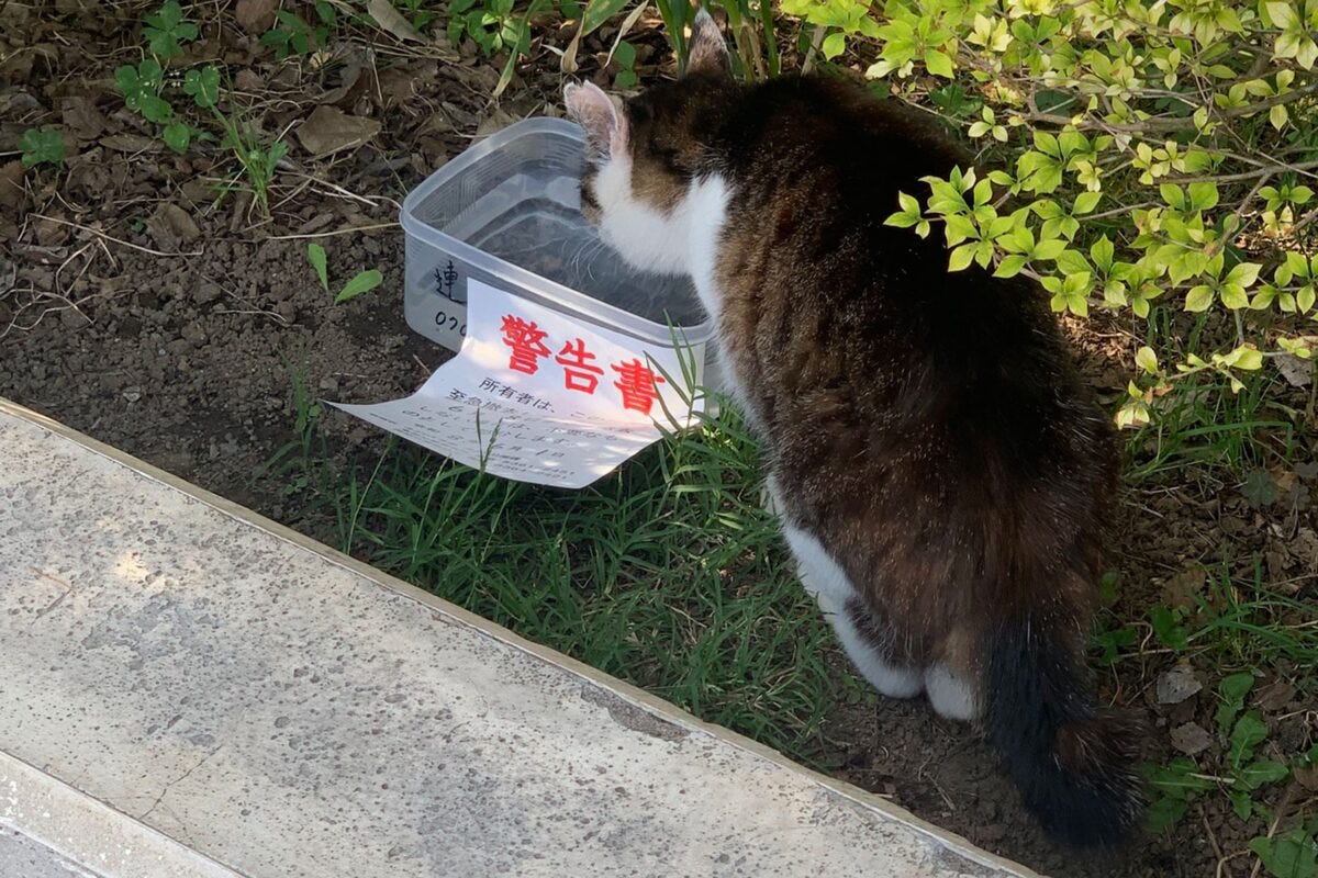 公園に置かれたタッパー