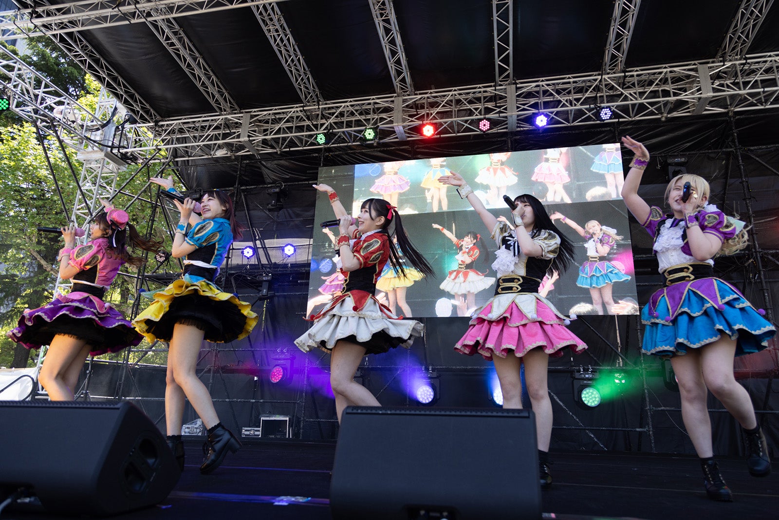 HOT DOG CAT（提供写真）