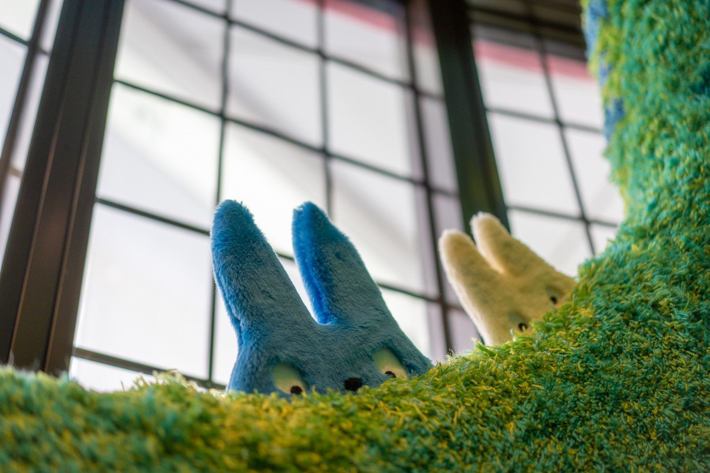 （C）Studio Ghibli