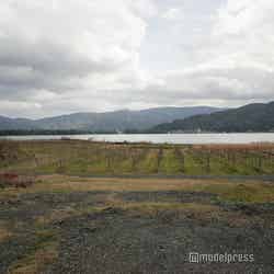 天橋立ワイナリー(C)モデルプレス