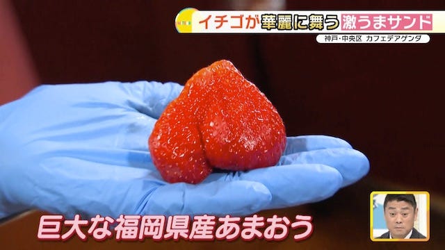 手のひらサイズのあまおう