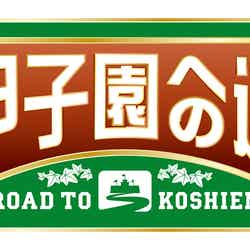 「甲子園への道」ロゴ（C）ABCテレビ