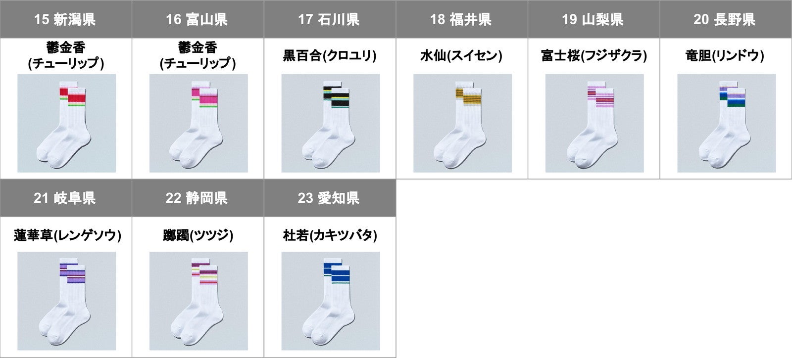 47都道府県別ラインソックス／提供画像