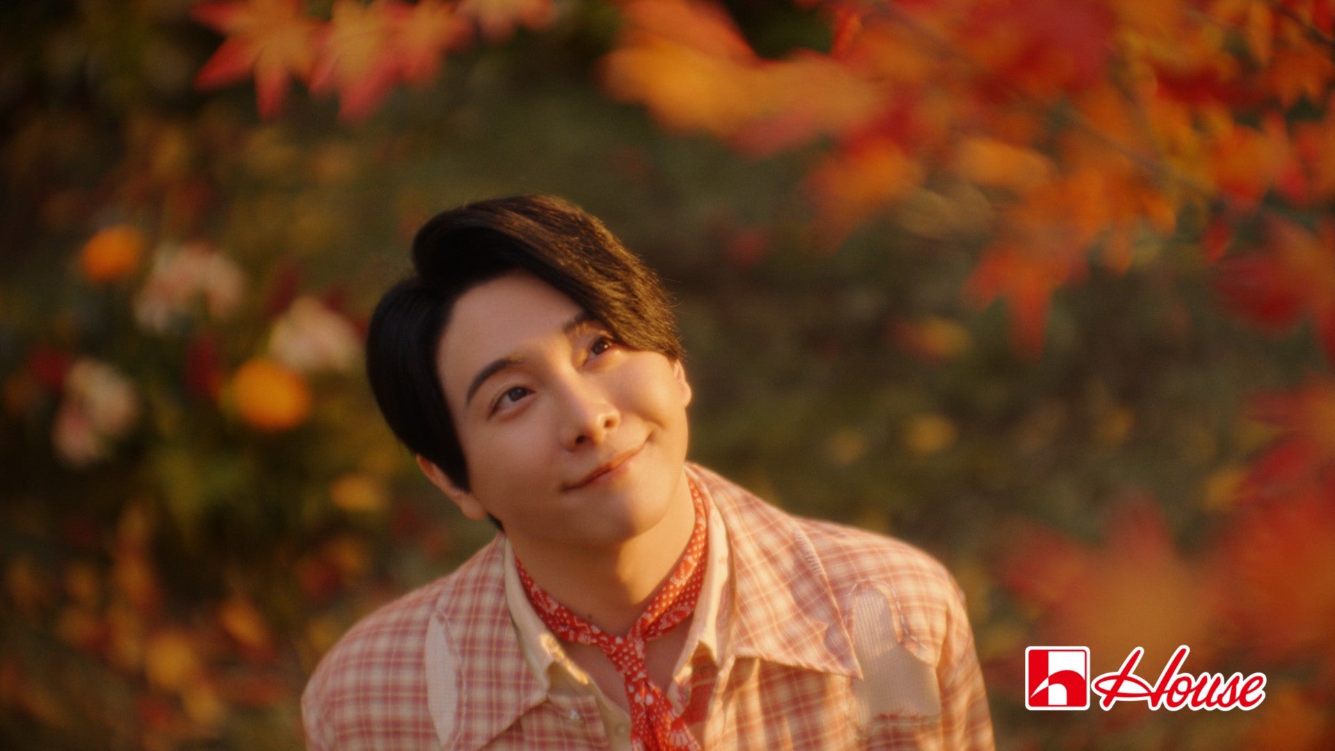 大森元貴／新テレビCM「不思議なカレーパーティー・秋」篇より（提供写真）