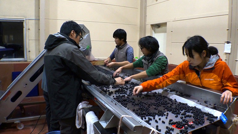 「セブンルール」27日放送回より（写真提供：関西テレビ）