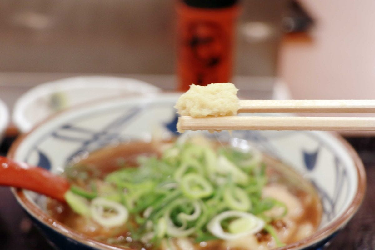丸亀 鴨ねぎうどん