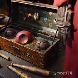 ロンドン -メイキング・オブ・ハリー・ポッター（C）モデルプレス Warner Bros. Studio Tour London – The Making of Harry Potter
