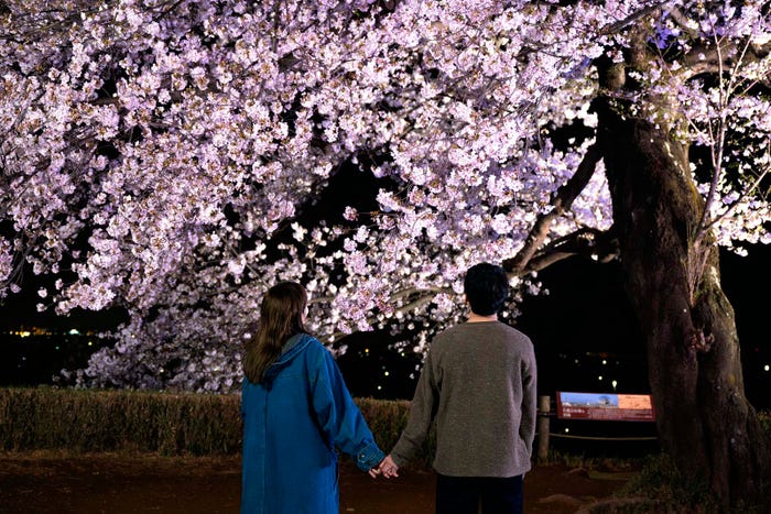 川口春奈、松下洸平「9ボーダー」第1話より(C)TBS