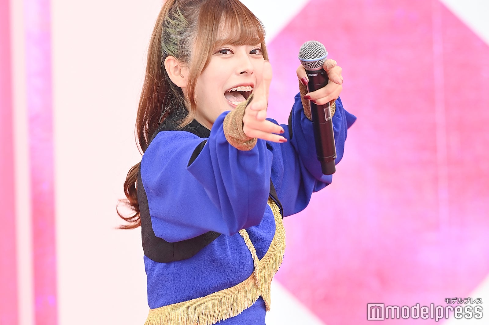 豆柴の大群（C）モデルプレス