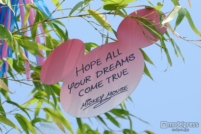 ミッキーのウィッシングカード
