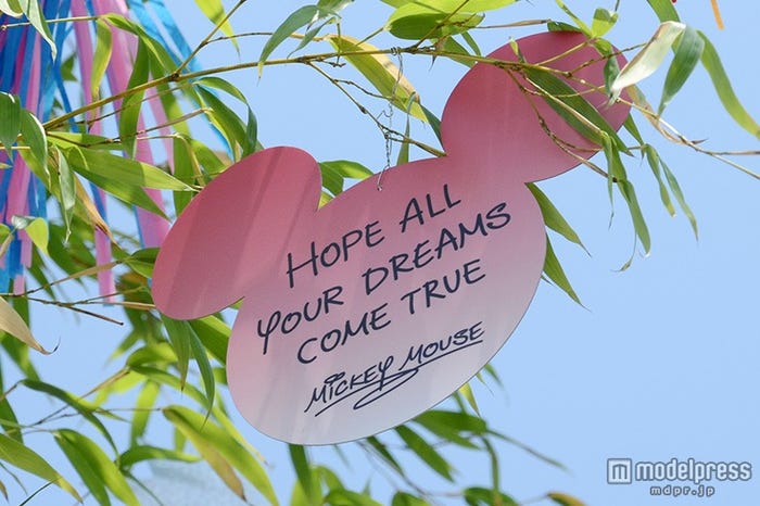 ミッキーのウィッシングカード