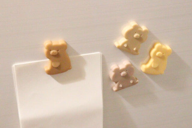 アニマルマグネット　使用例