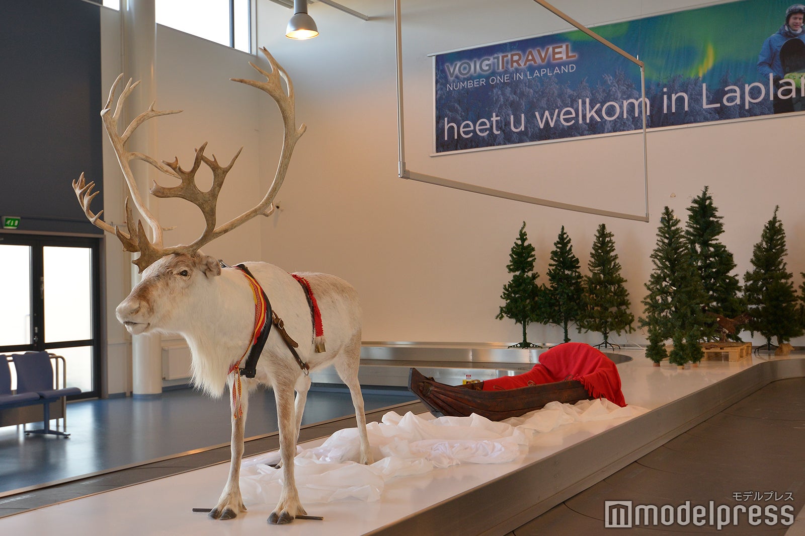 空港ではトナカイ＆サンタがお出迎え （C）モデルプレス