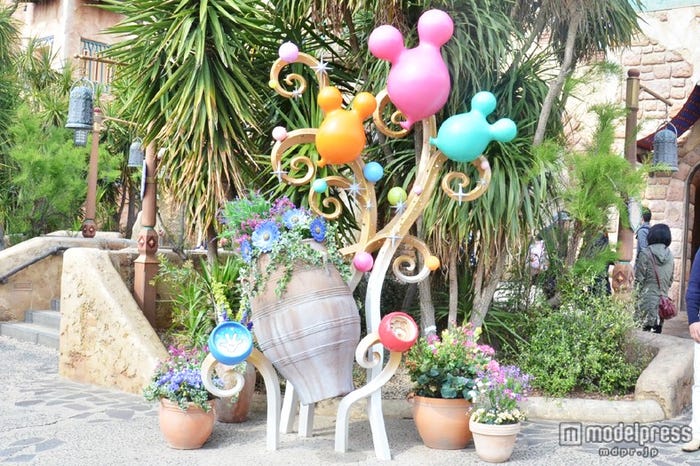 アラビアンコースト「オープンセサミ」横