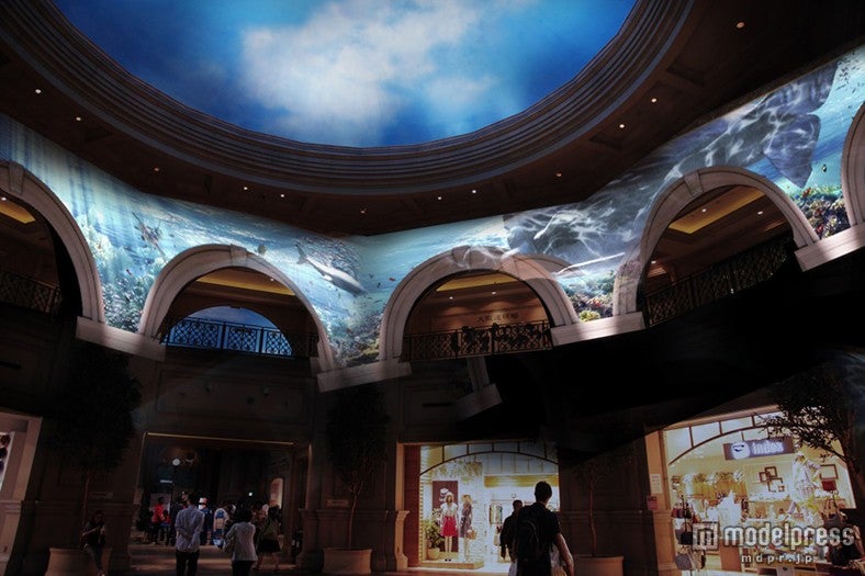 AROUND IN THE SEA ZONE