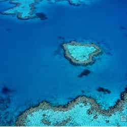グレートバリアリーフに浮かぶ恋愛スポット「ハートリーフ」/写真提供:Getty Images【モデルプレス】