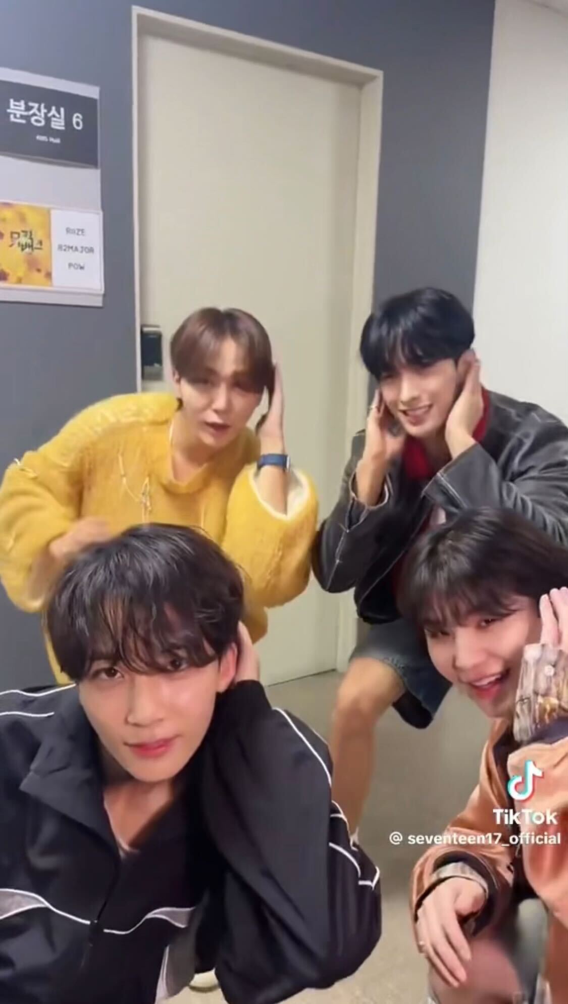 SEVENTEEN公式TikTokより