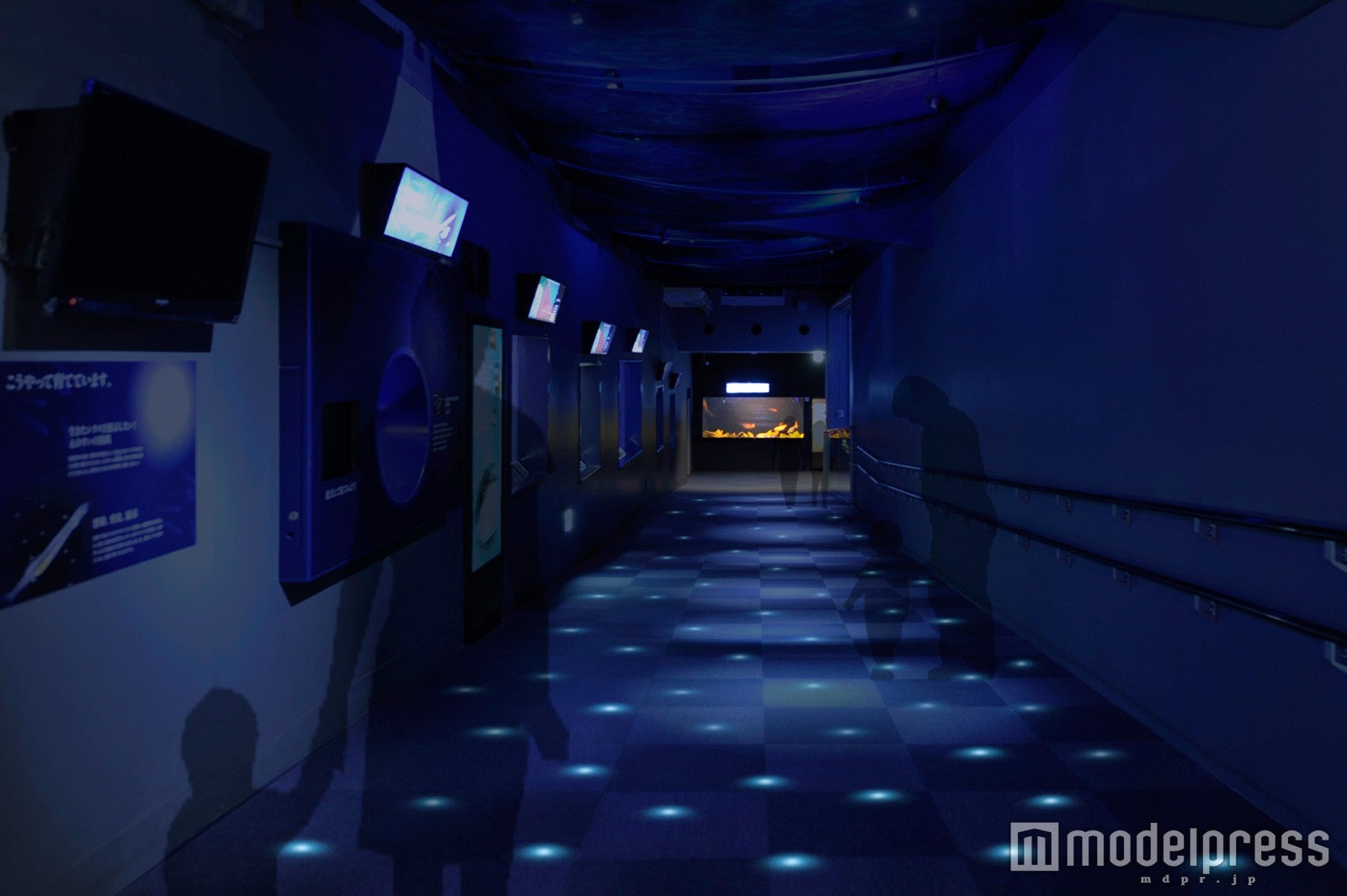 光の水先案内［相模湾ゾーン／丸窓～沿岸水槽］／画像提供：新江ノ島水族館