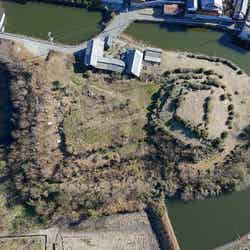 コフニア/提供画像