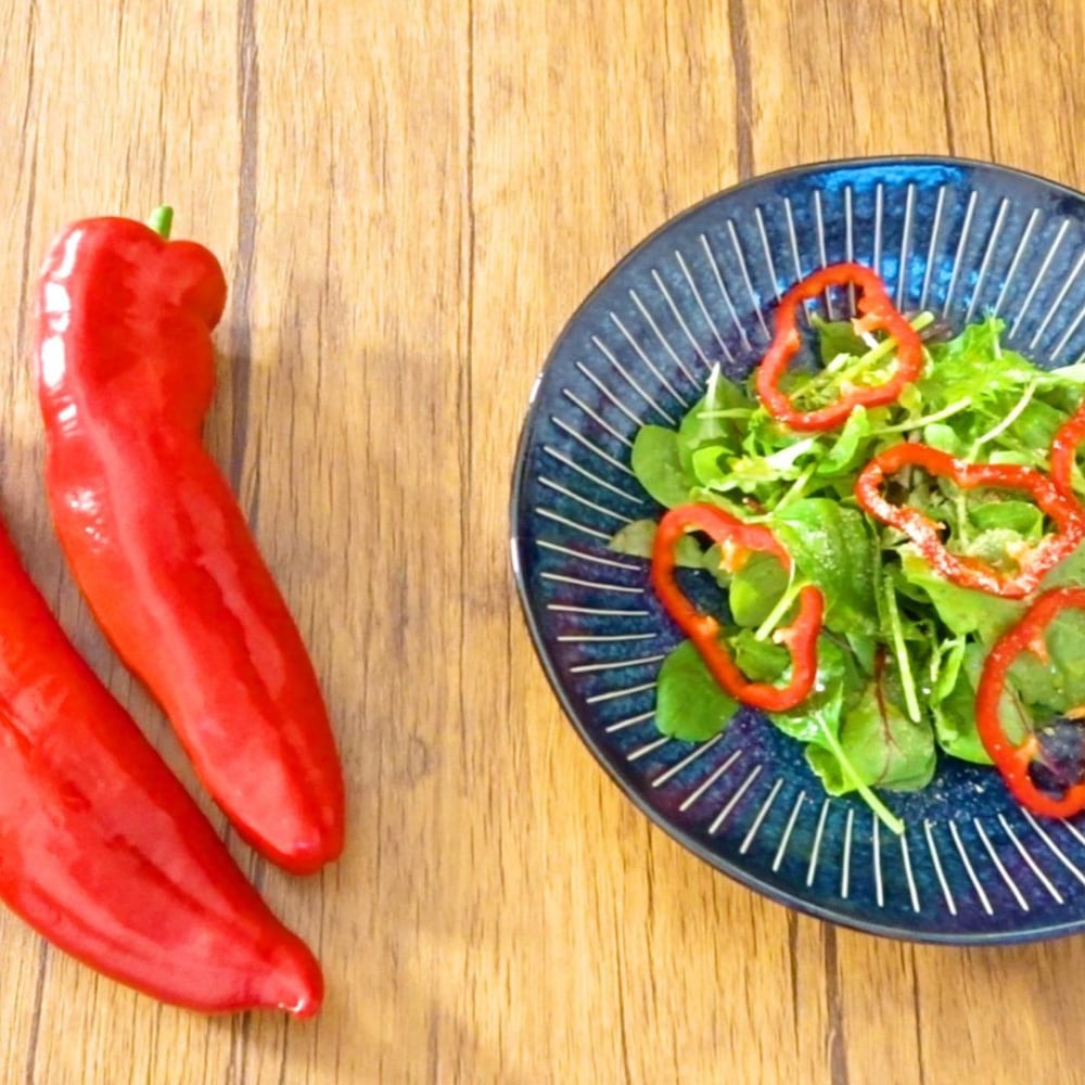 NewZealandGourmetロングスイートペッパー（パレルモ）