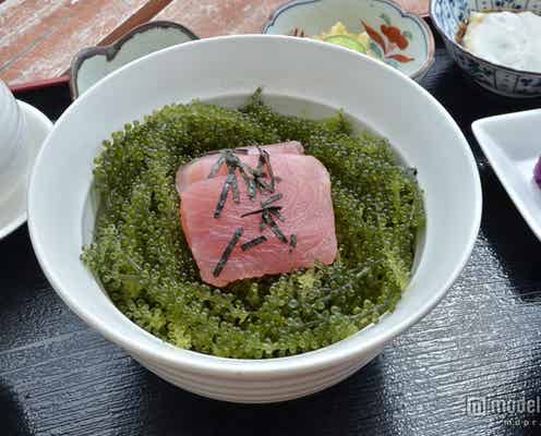 沖縄で彼との愛を深める癒やしの海カフェ