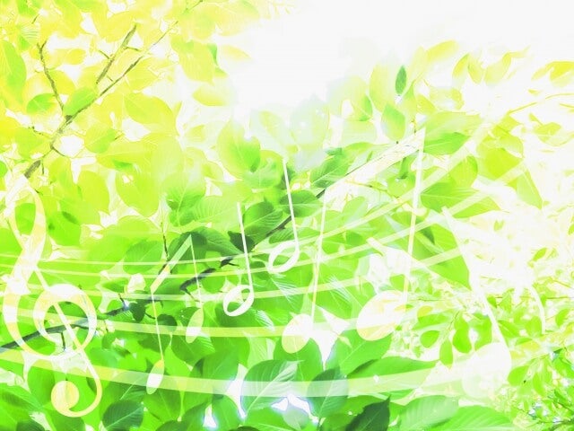 音楽で癒されよう！