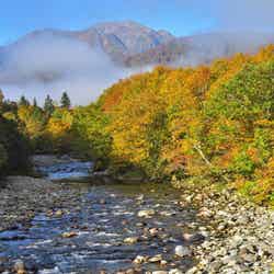 銀山平/提供素材