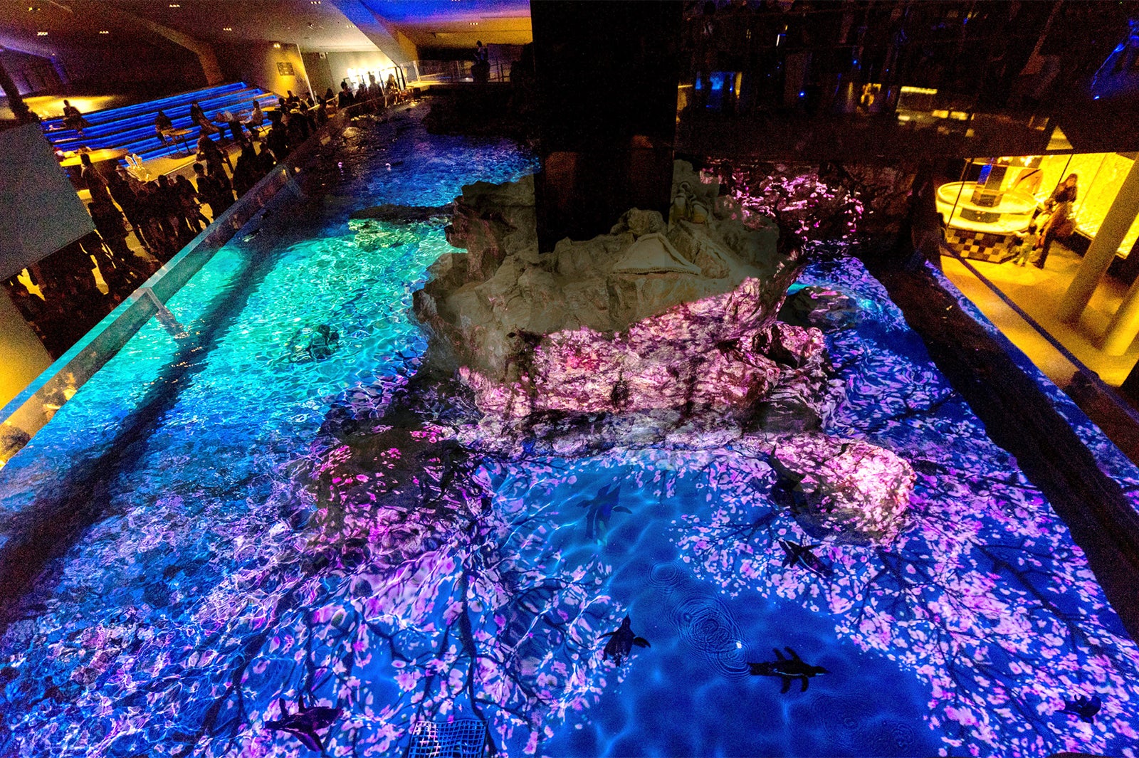 ペンギンピクニック（6階から見た様子）／画像提供：すみだ水族館