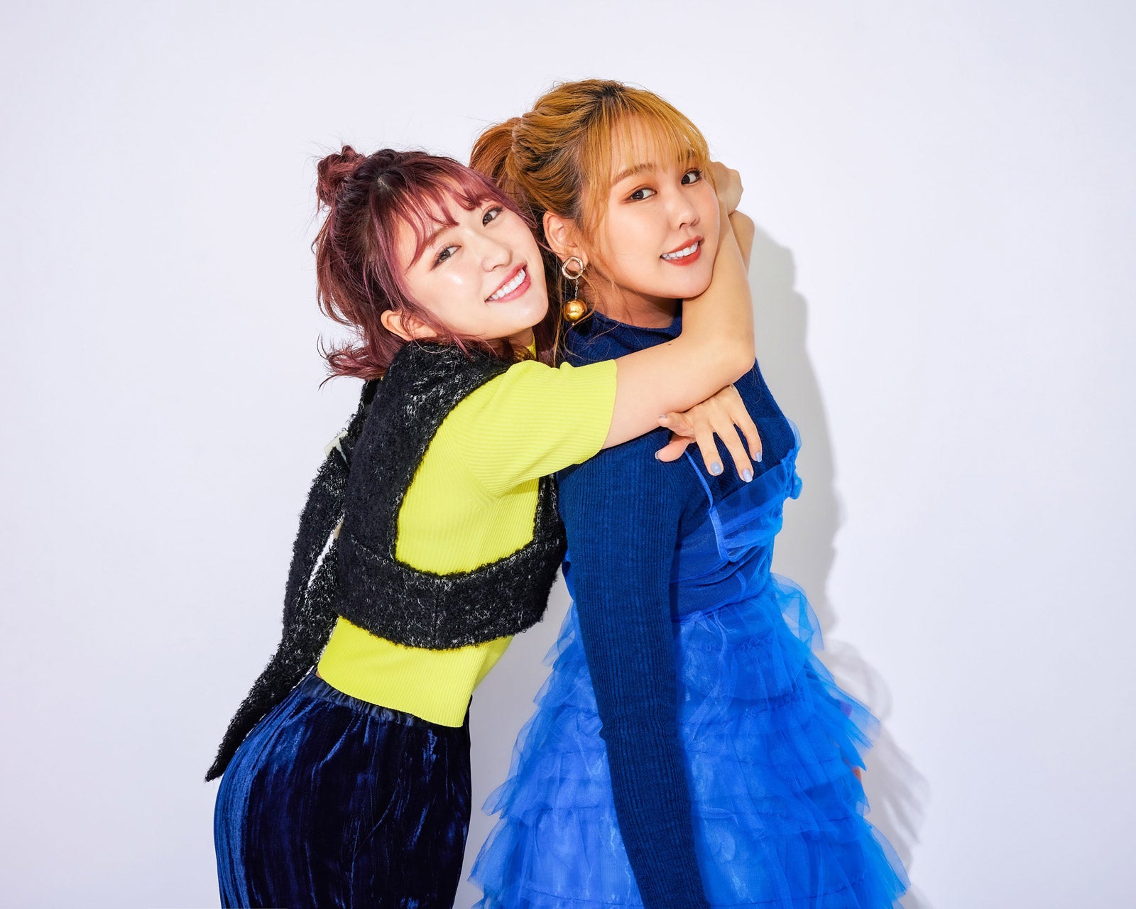 平成フラミンゴ（提供写真）