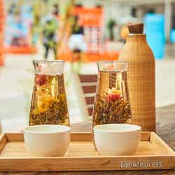お湯の中でゆっくり茶葉が開く様を楽しむ開花茶。右の蝶戀花(58$)は、落ち着きのあるやさしい味。
左の仙花散花(58$)は、ほんのりした苦みが特徴。ポットのお湯を継ぎ足して、何杯でもいただけます(C)モデルプレス