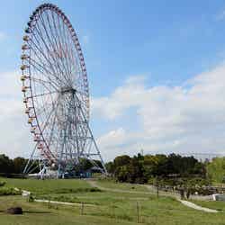 葛西臨海公園(提供画像)