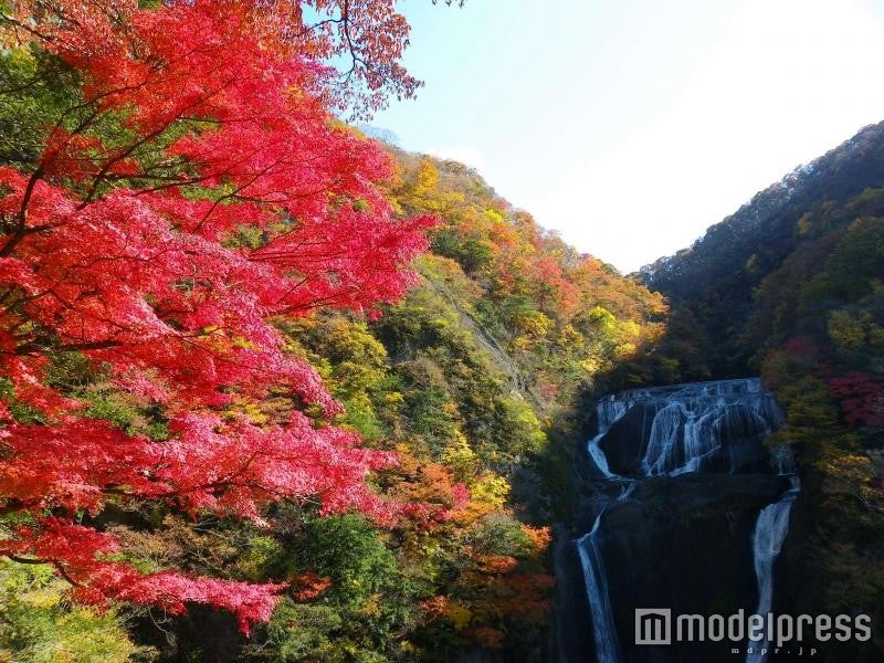 袋田の滝／画像提供：（一社）茨城県観光物産協会