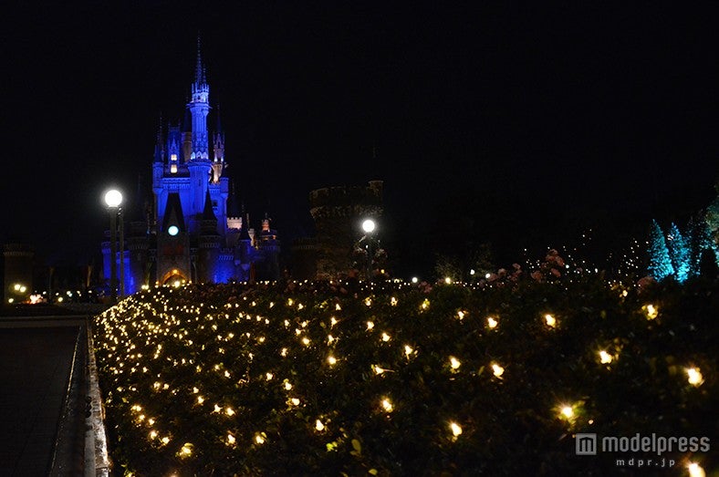 夜のシンデレラ城前