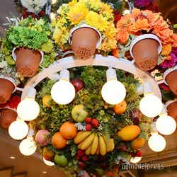 SHIBUYA PARLOR(C)モデルプレス