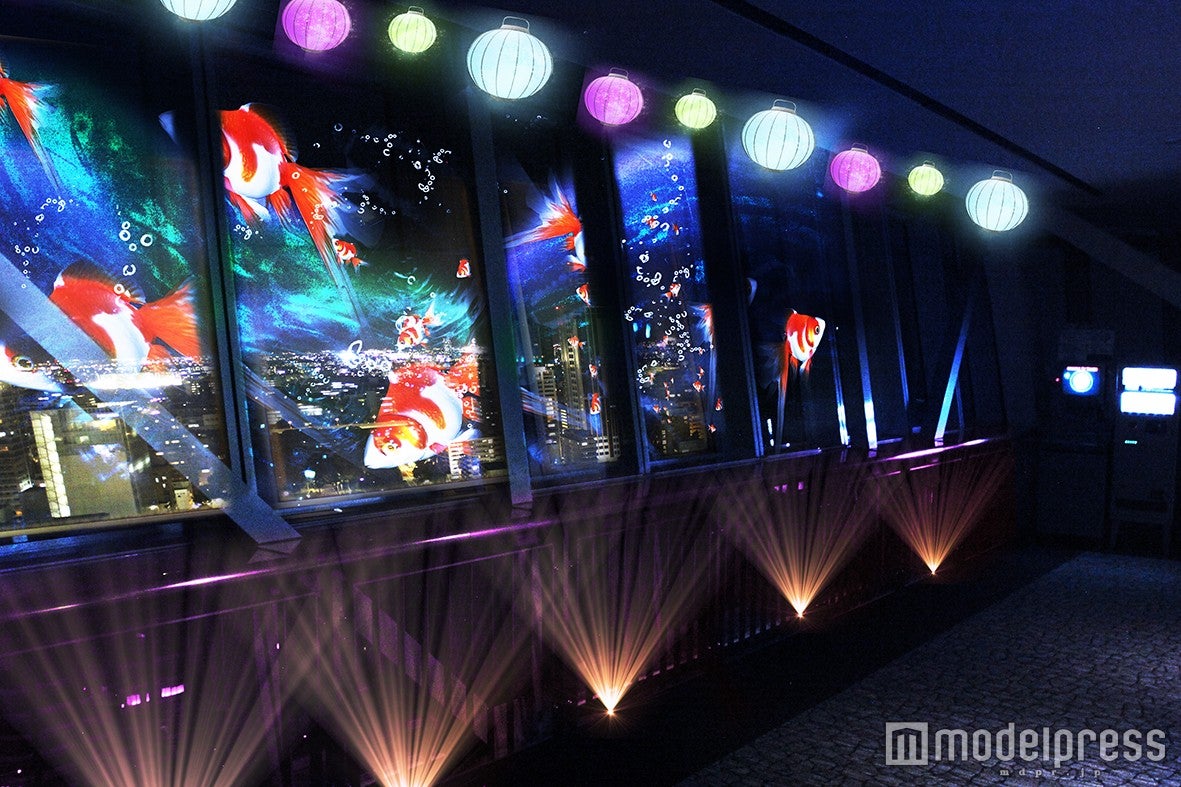 ハイパー金魚／画像提供：ネイキッド