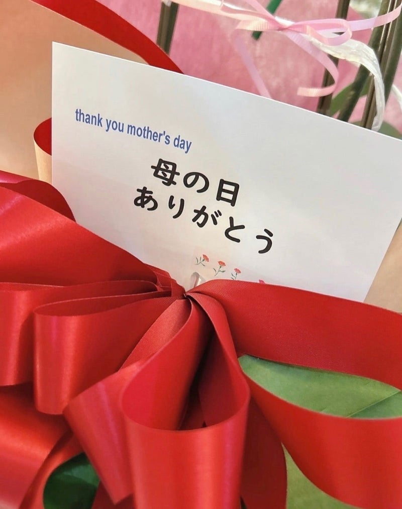 渡辺美奈代オフィシャルブログ「綺麗な胡蝶蘭」より