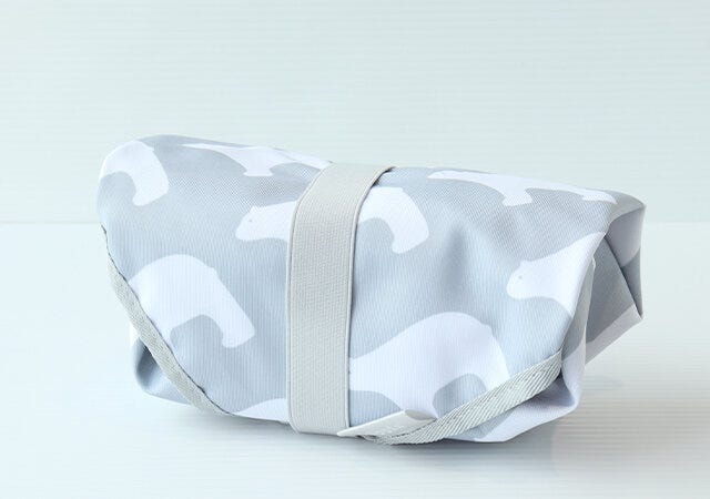 宝島社　ムック本　雑誌　付録　kippis（R）保冷クロス＆ランチトートバッグSET