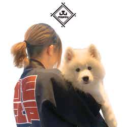 キャストの制服/提供素材