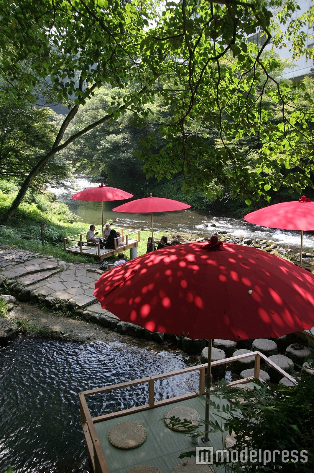 瑞々しい緑に映える野点傘／画像提供：山中温泉観光協会・旅館協同組合