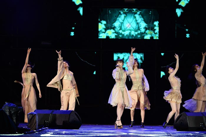 Flower(提供画像)