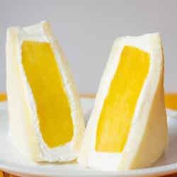 横浜おいも万博/提供画像