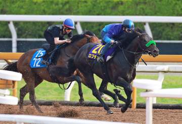 【ダービー】ロブチェン 変わらず順調 ノーステッキで2馬身先着、松山も合格点「時計的にも優秀」
