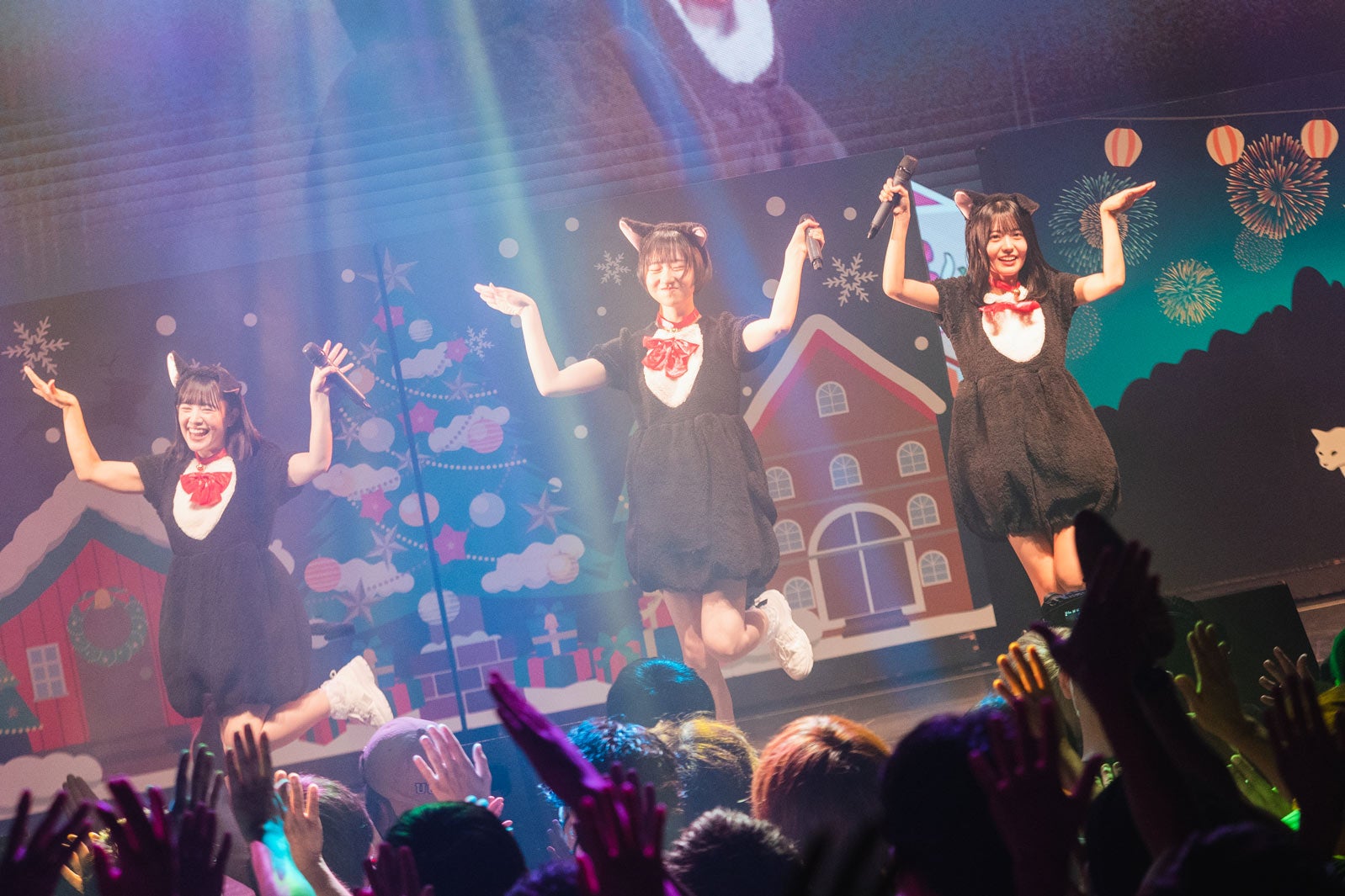 かすみ草とステラ／撮影：真島洸 （提供写真）