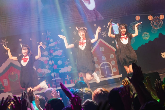 かすみ草とステラ/撮影:真島洸 (提供写真)